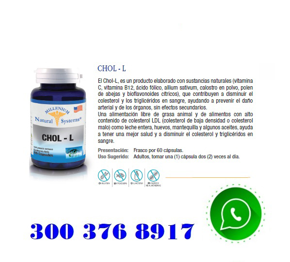 CHOL-L-Contra-El-Colesterol-X-60-Capsulas copia