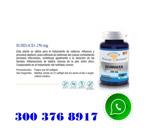 Echinacea-250-mg-X-60-Capsulas-Blandas copia