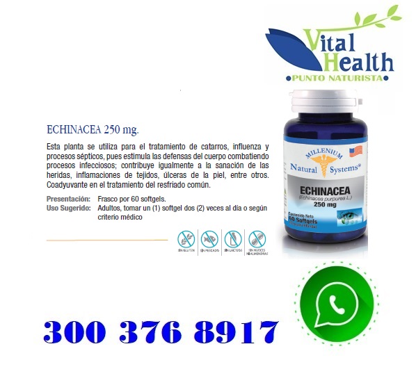 Echinacea 250 mg X 60 Capsulas Blandas