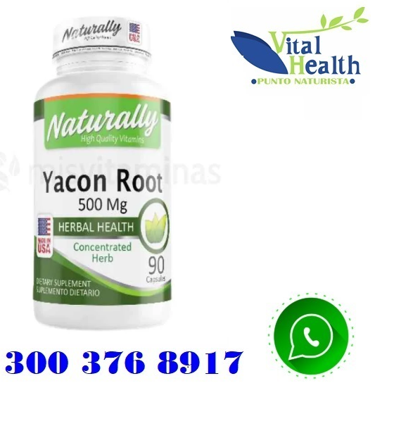 YACON ROOT ( RAIZ DE YACON) 500 MG