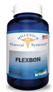 FLEXBON
