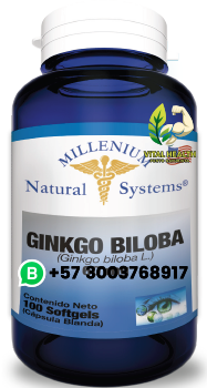 GINKGO BILOBA 60 MG