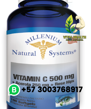 VITAMIN C 500 MG + ACEROLA