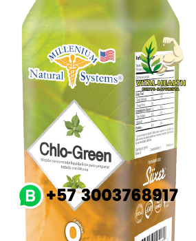 CHLO GREEN DRINK