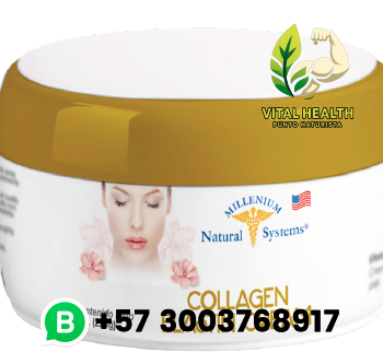 COLLAGEN + ELASTIN CREAM