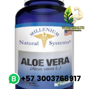 ALOE VERA / 60 Softgels