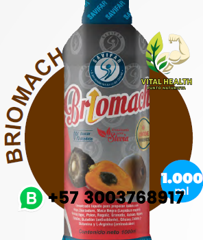 BRIOMACH LIQUIDO 1.000 ml