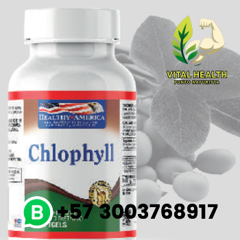 CHLOPHYLL 60 softgels
