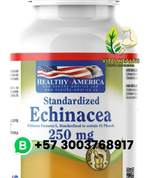 ECHINACEA 250mg / 100 Cápsulas