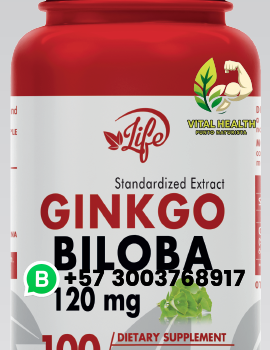GINKGO BILOBA 120mg / 100 Cápsulas