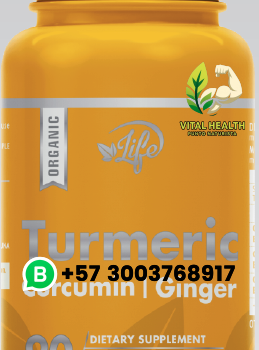 TURMERIC organic Curcumin- Ginger / 90 Cápsulas