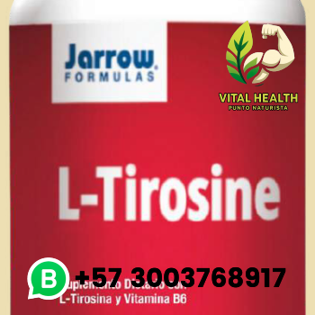 L-TIROSINE / 100 Cápsulas