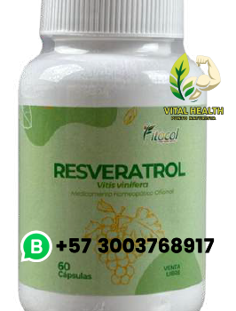 RESVERATROL / 60 Cápsulas
