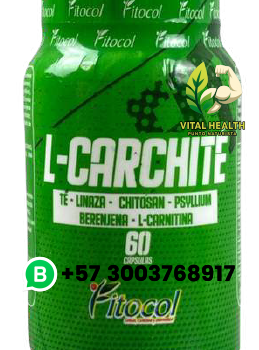 L-CARCHITÉ / 60 Cápsulas