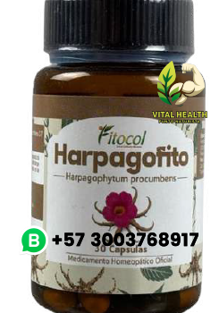 HARPAGOFITO / 30 Cápsulas