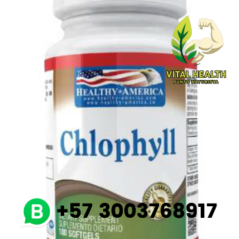 CHLOPHYLL 100 softgels