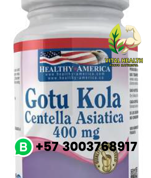 GOTU KOLA 400mg / 90 Softgels