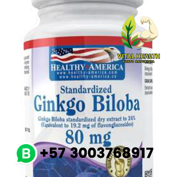 GINKGO BILOBA 80mg / 60 softgels