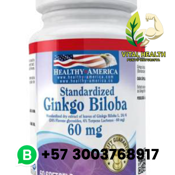 GINKGO BILOBA 60mg / 60 softgels
