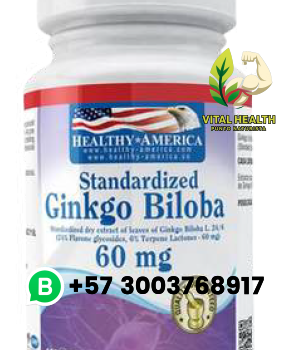GINKGO BILOBA 60mg / 100 softgels