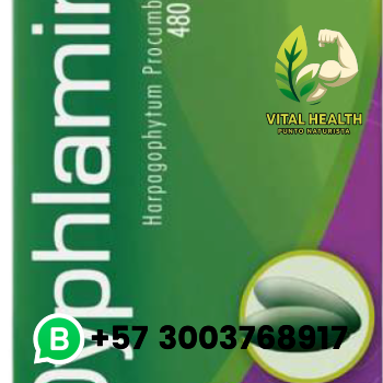 DYPHLAMIN / 60 softgels