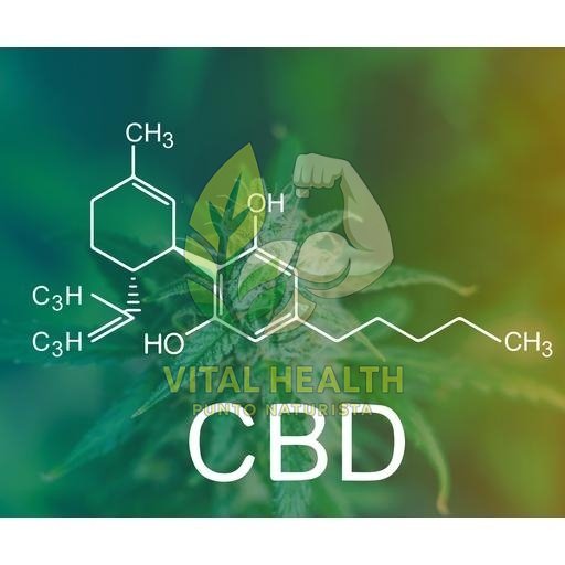 CBD OIL 1.000 MG - Imagen 2
