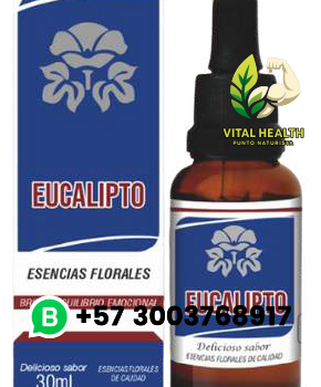 EUCALIPTO / 30 ml