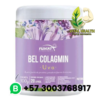 BEL COLAGMIN COLÁGENO / 300 gr