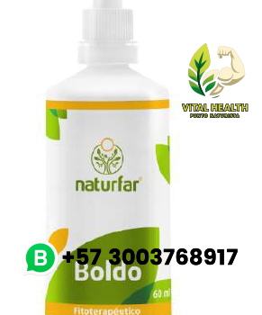 BOLDO / 60ml