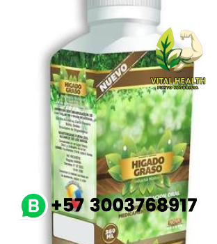 HIGADO GRASO / 360ml