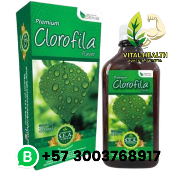 CLOROFILA / 360ml