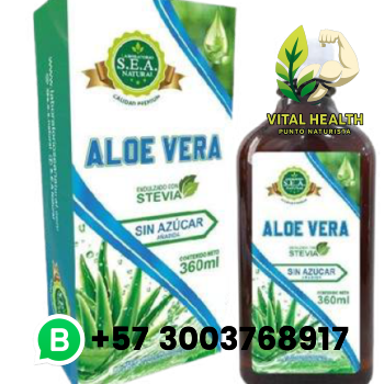 ALOE VERA / 360ml