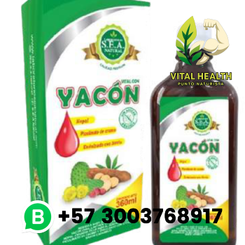 YACÓN / 360ml