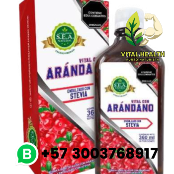 ARÁNDANO / 360ml