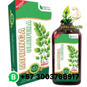 MORINGA OLEIFERA / 360ml