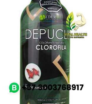 CLOROFILA / 1000ml