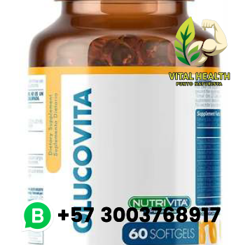 GLUCO VITA  / 60 Softgels