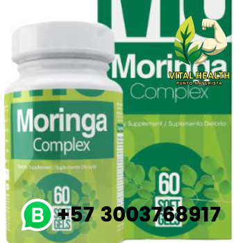 MORINGA COMPLEX / 60 Softgels