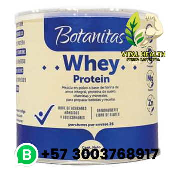 WHEY PROTEIN / 250 gr