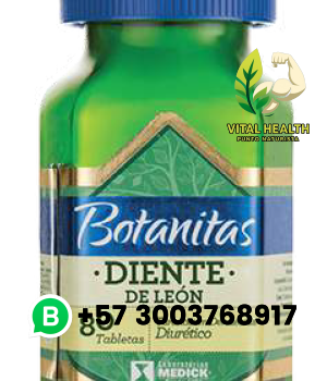 DIENTE DE LEÓN / 80 Tabletas