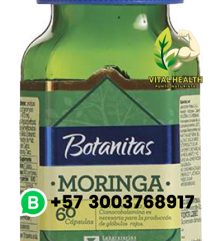 MORINGA / 60 Cápsulas