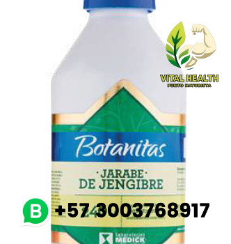 JARABE DE JENGIBRE / 240ML