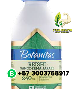 REISHI GANORDERMA JARABE  / 240ML