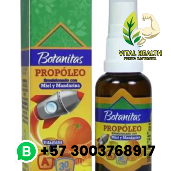 PROPÓLEO Y MIEL NIÑOS SPRAY / 30ML