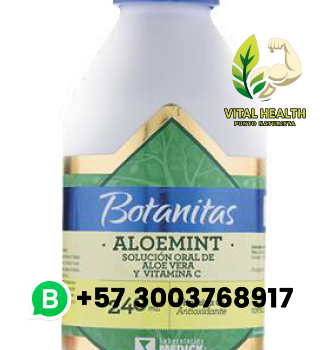 ALOEMINT JARABE / 240ML