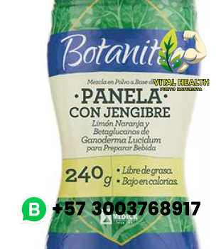 PANELA CON JENGIBRE / 240gr