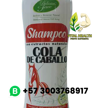 SHAMPOO COLA DE CABALLO / 500ml